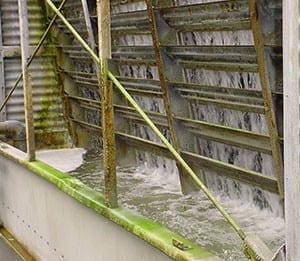 Cooling Tower Cleaning